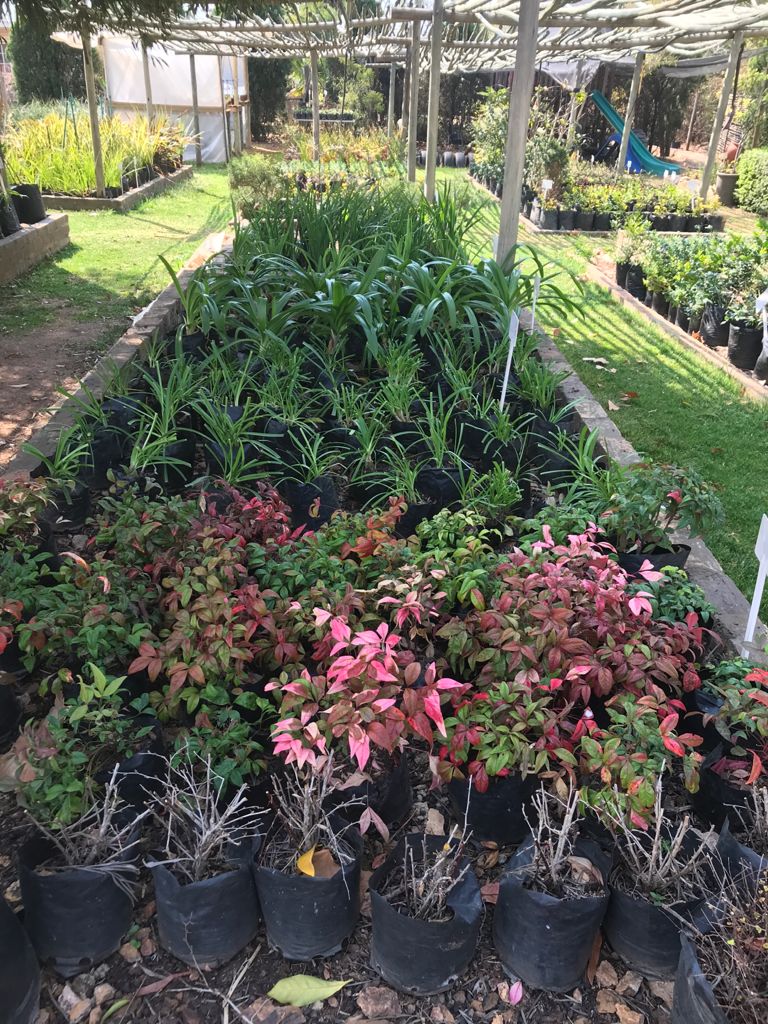 Services 1 PHOTO 2022 01 19 13 25 00